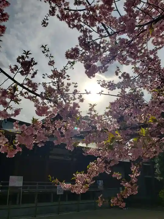 鳩森八幡神社(東京都)