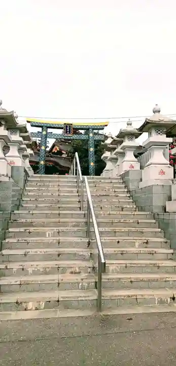 大杉神社(茨城県)