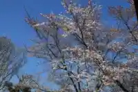 大鏑神社の周辺