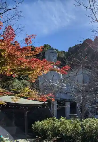 南法華寺（壷阪寺）(奈良県)