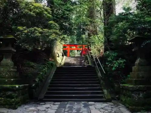 箱根神社(神奈川県)