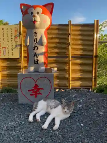 鹿角八坂神社の狛犬