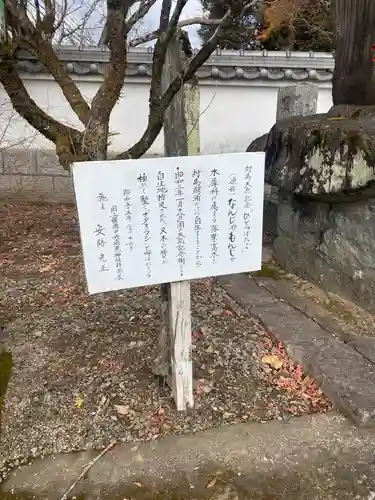 清岩禅寺の歴史