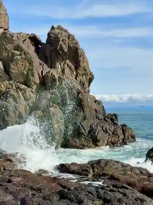 小谷石大明神の{uncategorized: "未分類", other: "その他", undefined: "問題あり", building: "その他建物", grave: "お墓", sacred_gate: "鳥居", guardian: "狛犬", statue: "像", buddha: "仏像", history: "歴史", nature: "自然", garden: "庭園", animal: "動物", pagoda: "塔", temizu: "手水舎", mountain_gate: "山門・神門", sanctuary: "本殿・本堂", subordinate: "末社・摂社", art: "芸術", scenery: "景色", jizo: "地蔵", ema: "絵馬", goshuin: "御朱印", omikuji: "おみくじ", items: "授与品その他", amulet: "お守り", goshuincho: "御朱印帳", eats: "食事", festival: "お祭り", votive_dance: "神楽", shichigosan: "七五三参", wedding: "結婚式", experience: "体験その他", initially: "初詣", around: "周辺", anti_infection: "感染症対策"}