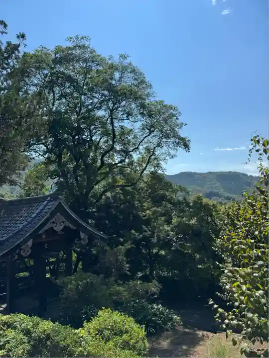 崇禅寺(群馬県)