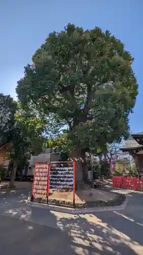 東京羽田 穴守稲荷神社(東京都)
