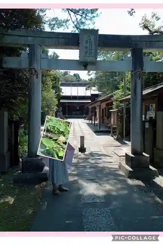 忍　諏訪神社・東照宮　(埼玉県)