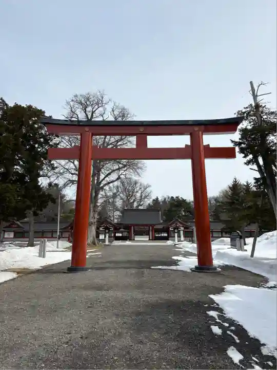 北海道護國神社の鳥居