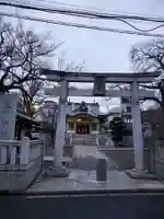 氷川神社の鳥居