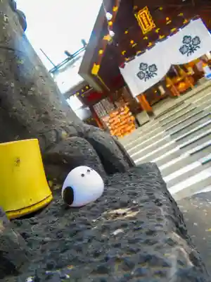 札幌諏訪神社のおみくじ