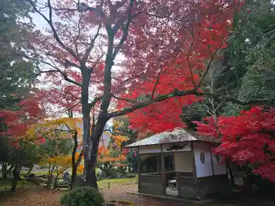 興聖寺(滋賀県)