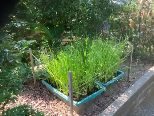 横浜御嶽神社(神奈川県)