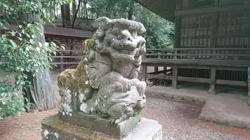 虎柏神社の狛犬