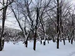 北海道神宮(北海道)