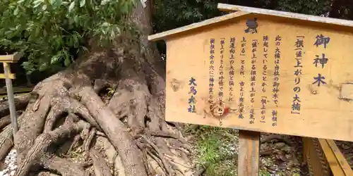 和泉國一之宮　大鳥大社(大阪府)