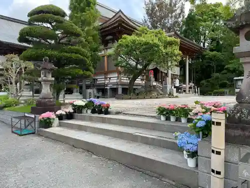 善楽寺(高知県)
