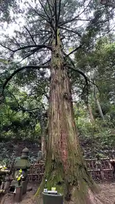 傑山寺(宮城県)