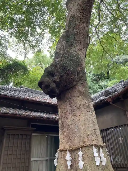 氷川女體神社(埼玉県)