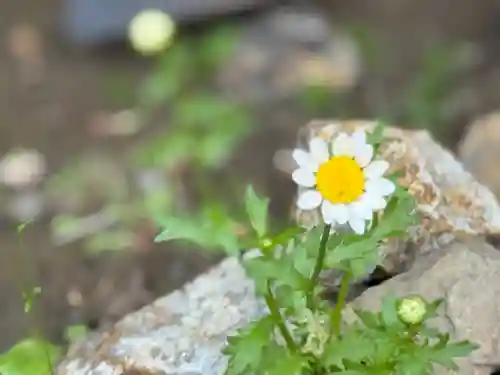 西方山極楽寺(岐阜県)