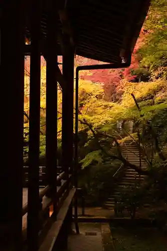 禅林寺（永観堂）(京都府)