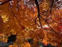 勝福寺(福島県)