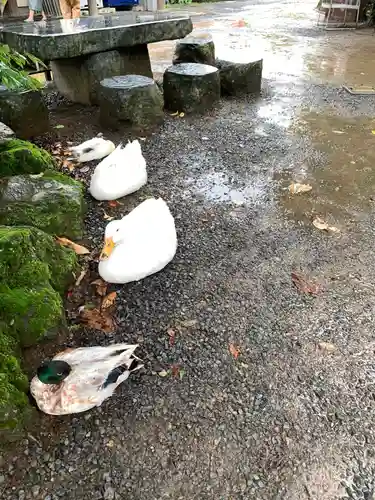 楽法寺（雨引観音）の動物