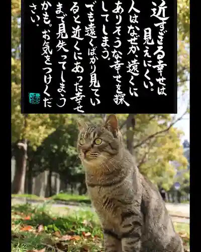 専念寺(大阪府)