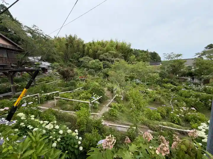 極楽寺(静岡県)