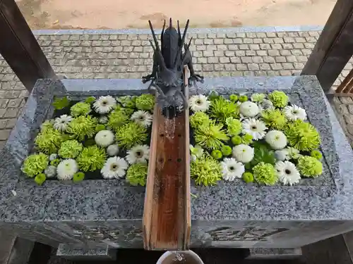 川越八幡宮(埼玉県)