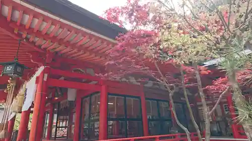 金櫻神社の建物その他