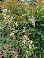 真言宗豊山派 中野 宝仙寺末寺 光明寺跡六地蔵のお墓