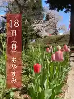 高司神社〜むすびの神の鎮まる社〜の自然