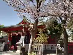 （芝生）浅間神社の本殿