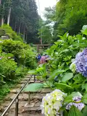 太平山神社(栃木県)