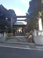 東京大神宮の鳥居