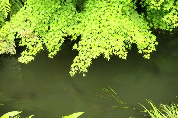 杉本寺(神奈川県)