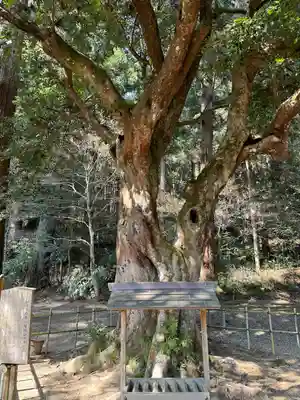小國神社(静岡県)