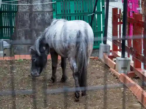 神田神社（神田明神）の{uncategorized: "未分類", other: "その他", undefined: "問題あり", building: "その他建物", grave: "お墓", sacred_gate: "鳥居", guardian: "狛犬", statue: "像", buddha: "仏像", history: "歴史", nature: "自然", garden: "庭園", animal: "動物", pagoda: "塔", temizu: "手水舎", mountain_gate: "山門・神門", sanctuary: "本殿・本堂", subordinate: "末社・摂社", art: "芸術", scenery: "景色", jizo: "地蔵", ema: "絵馬", goshuin: "御朱印", omikuji: "おみくじ", items: "授与品その他", amulet: "お守り", goshuincho: "御朱印帳", eats: "食事", festival: "お祭り", votive_dance: "神楽", shichigosan: "七五三参", wedding: "結婚式", experience: "体験その他", initially: "初詣", around: "周辺", anti_infection: "感染症対策"}