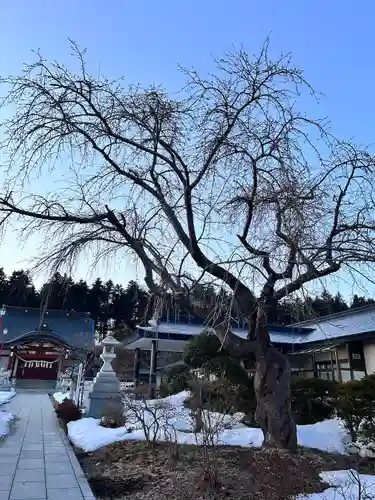 北海道東照宮(北海道)