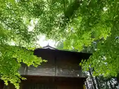 滑川神社 - 仕事と子どもの守り神の自然