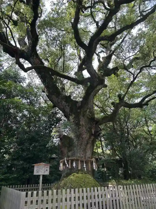熱田神宮(愛知県)