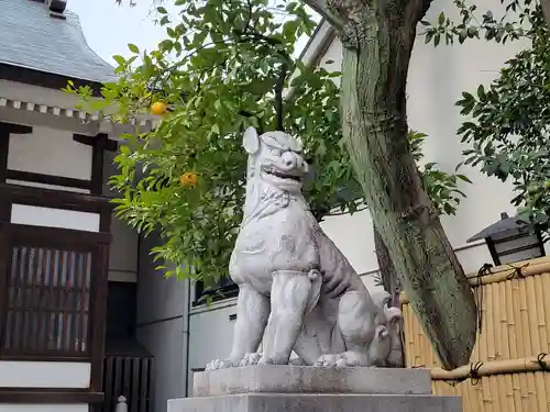 鳥越神社の狛犬