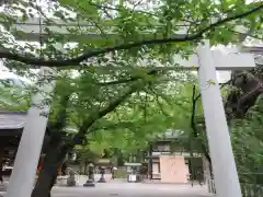 熊野神社の鳥居