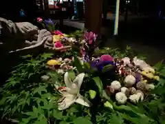 滑川神社 - 仕事と子どもの守り神の手水