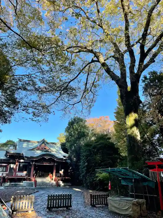 武蔵野八幡宮(東京都)