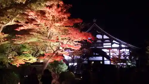 高台寺（高台寿聖禅寺・高臺寺）の庭園