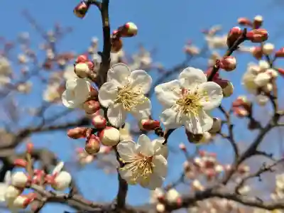 開成山大神宮(福島県)