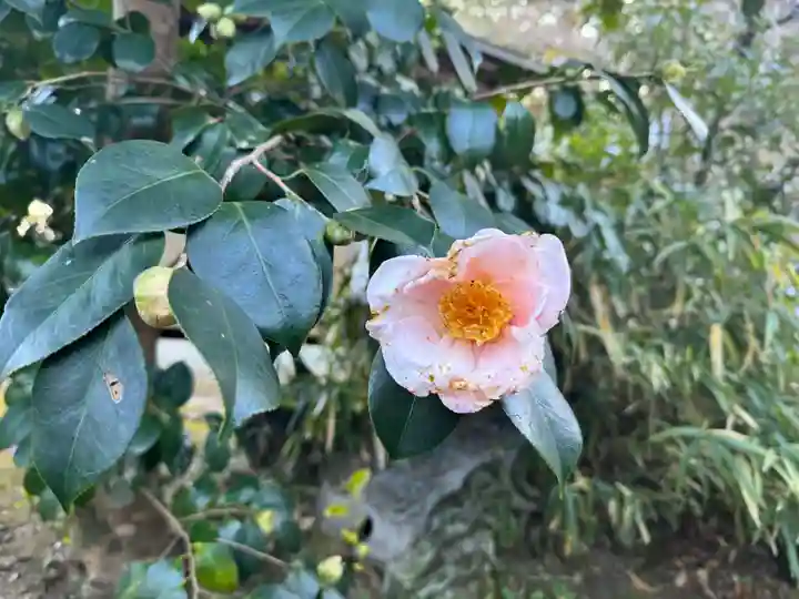 伊勢の国 四天王寺(三重県)