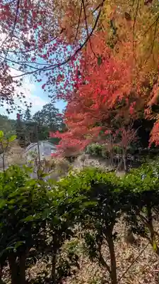 十輪寺(京都府)