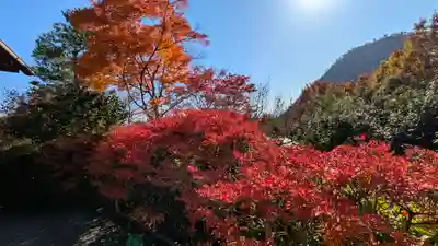 光悦寺(京都府)